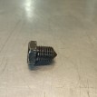 Пробка поддона сливная Volkswagen Tiguan 5N2 CAVA Volkswagen Tiguan  