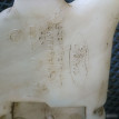 Бачок омывателя Ford Fusion Ford Fusion оригинальный номер 2S6117618AH