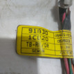 Проводка задней правой двери Hyundai Getz Hyundai Getz оригинальный номер 918301C020