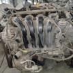 Двигатель Hyundai Elantra оригинальный номер 211012EW13