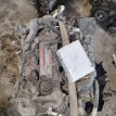 Двигатель Toyota Corolla Rumion оригинальный номер 190000T040
