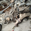 Акпп Mitsubishi Pajero оригинальный номер MR593857