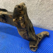 Подрамник передний Nissan Almera Classic B10 Nissan Almera Classic оригинальный номер 5440195F0A