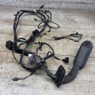 Проводка двери передняя правая BMW X5 E70 BMW X5 оригинальный номер 924207401