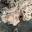Акпп Toyota Allion 