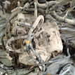 Акпп Toyota RAV 4 оригинальный номер 3050042250