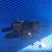 Переключатель подрулевой Renault Kaptur I (2016—2020) Renault 16 оригинальный номер 255675914R