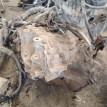 Акпп Nissan Qashqai оригинальный номер 310203UX7B