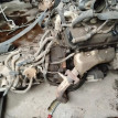 Акпп Mitsubishi Pajero оригинальный номер MR593857