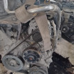 Двигатель Toyota Corolla Rumion оригинальный номер 190000T040