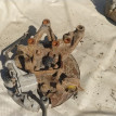 Кулак поворотный Opel Vectra C 1.8 Opel Vectra 