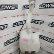 Бачок омывателя Honda Airwave 