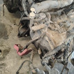 Акпп Mitsubishi Outlander оригинальный номер 2700A060