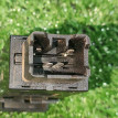 Кнопка подогрева стекла Chery Amulet A15 Chery Amulet (A15) оригинальный номер A153744010