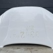 Капот Jetour Dashing  оригинальный номер F16-8402010CA-DY