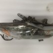 Фара галоген Nissan Murano 2007-2010 Z51, правая Nissan Murano  