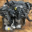 Двигатель Ford Kuga 2011-2016 1854467 TXMA Ford Kuga  