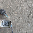 Проводка двери задней левой Mitsubishi Lancer 9 Mitsubishi i оригинальный номер MN124805