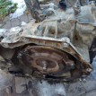 АКПП 6T40 Opel Astra/Chevrolet Cruze Chevrolet Cruze оригинальный номер 24255608