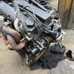 Двигатель Ford Focus 2000 1215904 DFW Ford Focus 