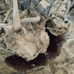Акпп Toyota Corolla Rumion оригинальный номер 3040012250, 3040020070