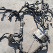 Блок управления двигателем Nissan Tiida 