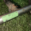 Рампа топливная Chery Amulet A15 Chery Amulet (A15) оригинальный номер 480EF1112001