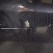 Дверь передняя правая Honda Stepwgn 