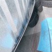 Стекло заднее Mercedes-Benz E-класс W212/S212/C207/A207 (2009—2013) Mercedes-Benz E-klasse оригинальный номер A2126701580