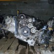 Двигатель Subaru Forester 2010-2015 10100CD630 FB20 Subaru Forester  