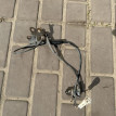 Датчик ABS передний правый Toyota Avensis T250 Toyota Avensis оригинальный номер 8954202040