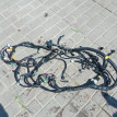 Проводка блока предохранителей Chevrolet Aveo t250 Chevrolet Aveo 