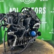 Двигатель Ford Focus 1998-2007 1215904 EDDB Ford Focus  