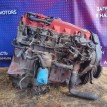 Двигатель Nissan Patrol 1998-2005 13270V7200 Y61 RD28 Nissan Patrol  