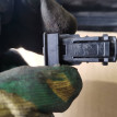Датчик стояночного тормоза Mercedes A0015458714 Mercedes-Benz E-klasse оригинальный номер A0015458714