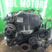Двигатель Ford Focus 1998-2007 EDDFNONUMB 1 EDDF Ford Focus  