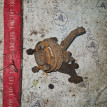 Кулак поворотный передний правый Chery Amulet (A15) Chery Amulet (A15) оригинальный номер A113001012AB