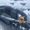Крыша Hyundai Elantra IV (2006—2011) Hyundai Elantra оригинальный номер G4FC HD4