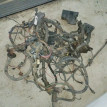 проводка Opel Vectra B МОТОРНАЯ Opel Vectra оригинальный номер 09133984