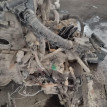 Акпп Renault Koleos оригинальный номер 310201XF1C