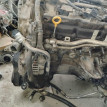 Двигатель Nissan Teana оригинальный номер 10102JN01F, 10102JN0AW