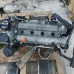 Двигатель Volkswagen Golf 5 BLF Volkswagen Golf  