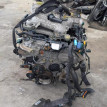 Двигатель Nissan Elgrand оригинальный номер 10102WL7A0