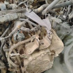 Акпп Toyota Camry оригинальный номер 3050042250