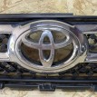 Решетка радиатора Toyota RAV 4 III (XA30)  оригинальный номер 53101-42190