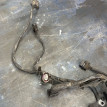 Коса двигателя Ssang Yong Kyron D20DT EU IV Ssang Yong Kyron оригинальный номер 6641505433