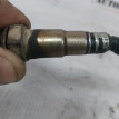 Датчик кислородный/Lambdasonde  Opel Astra J Opel Astra оригинальный номер 55562206