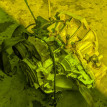 Акпп Suzuki SX4 оригинальный номер 2000979J90, 20002-79J70