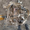 Двигатель Toyota Corolla оригинальный номер 190000T060
