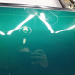 Дверь Subaru Forester 2000 61101FC002 SF5 EJ202NWXVA Subaru Forester 